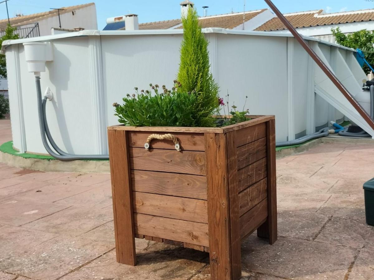 Casa Rural La Casa Del Conde Puebla de la Parrilla エクステリア 写真